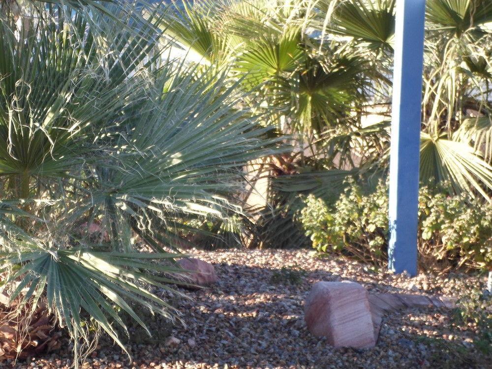 Howard Johnson By Wyndham Las Vegas Near The Strip Exterior photo